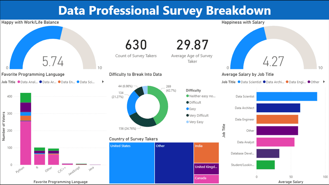 Data Professional Survey Analysis Dashboard visualization 1